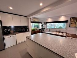 Holland Tower (D10), Apartment #536673881